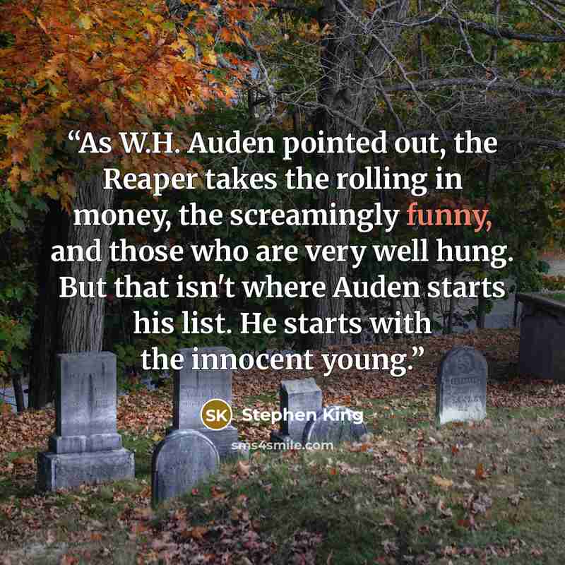 “As W.H. Auden pointed out, the Reaper takes the rolling in money, the screamingly funny, and those who are very well hung. But that isn't where Auden starts his list. He starts with the innocent young.” quote by Stephen King