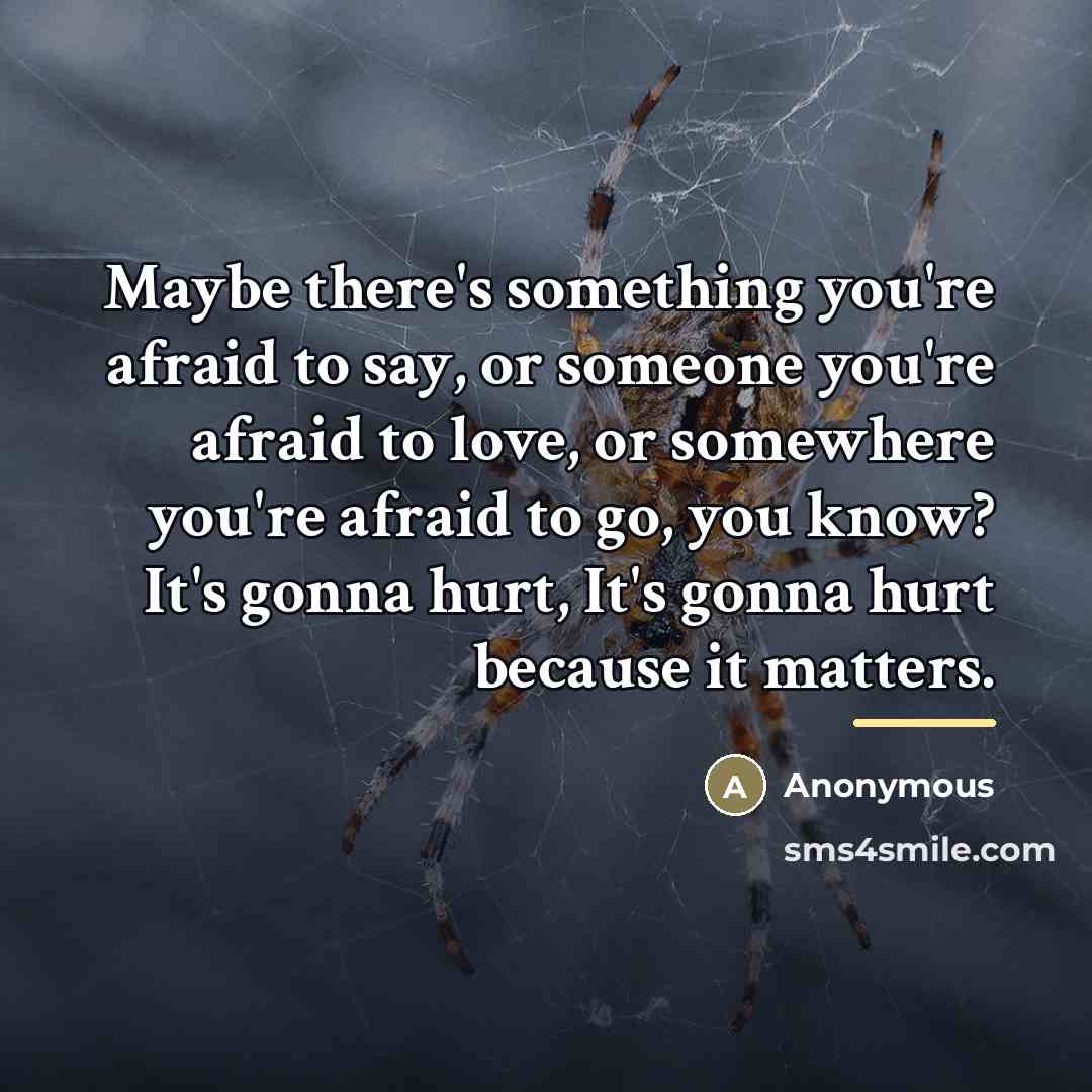 “Maybe there's something you're afraid to say, or someone you're…” quote by Anonymous