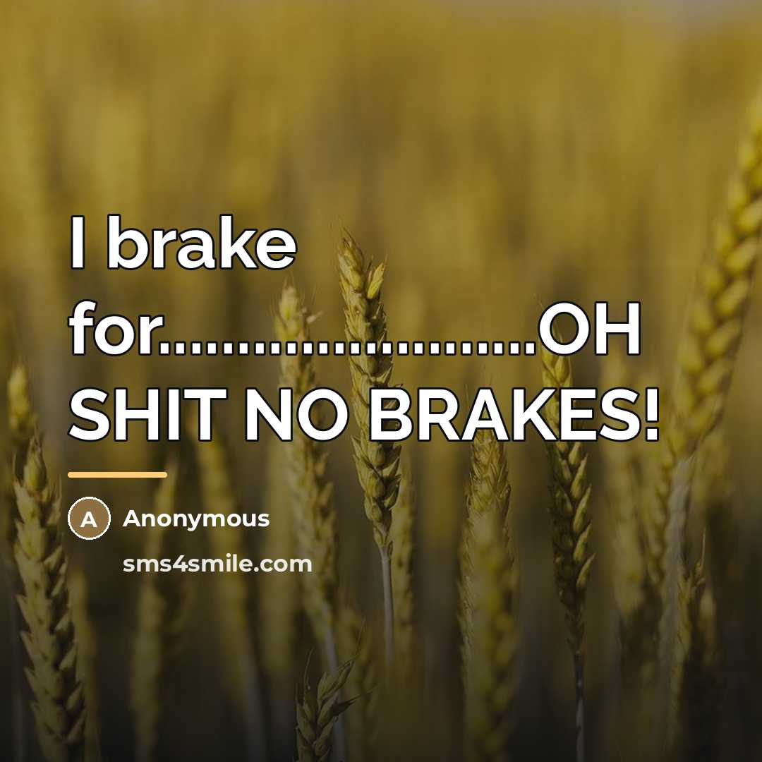 “I brake for........................OH SHIT NO BRAKES!…” quote by Anonymous
