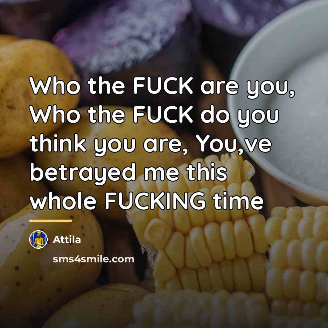 “Who the FUCK are you, Who the FUCK do you…” quote by Attila