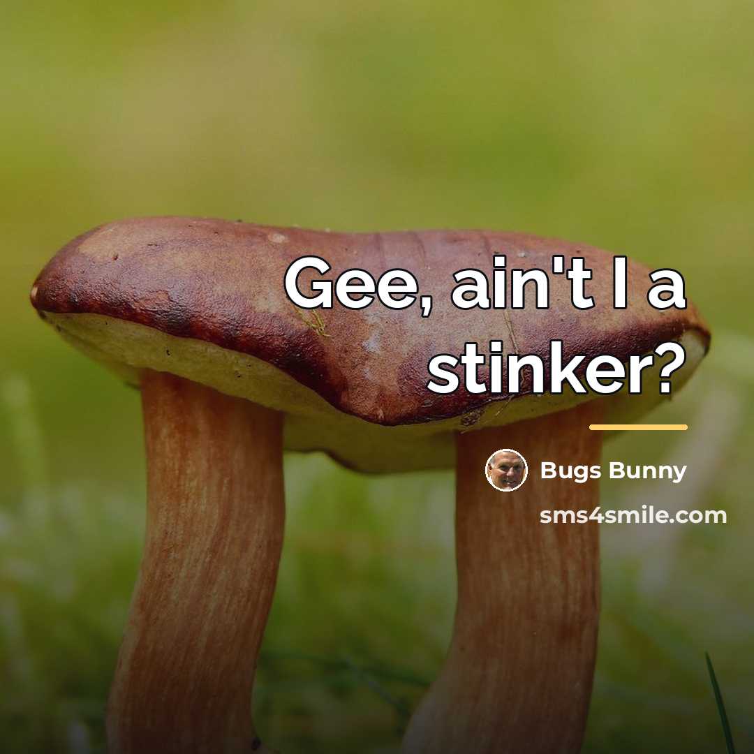“Gee, ain't I a stinker?…” quote by Bugs Bunny