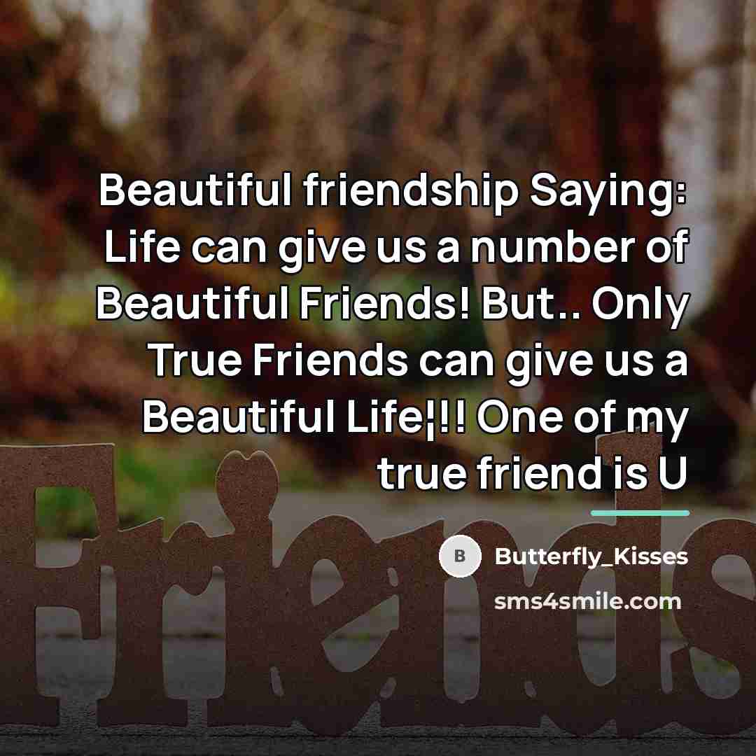 “Beautiful friendship Saying: Life can give us a number of…” quote by Butterfly_Kisses