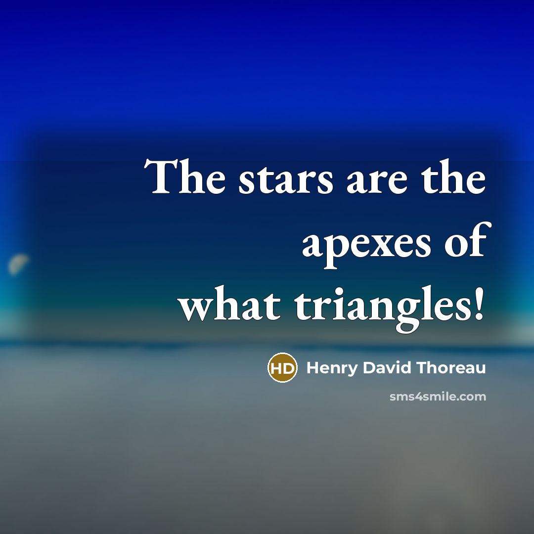 “The stars are the apexes of what triangles!…” quote by Henry David Thoreau