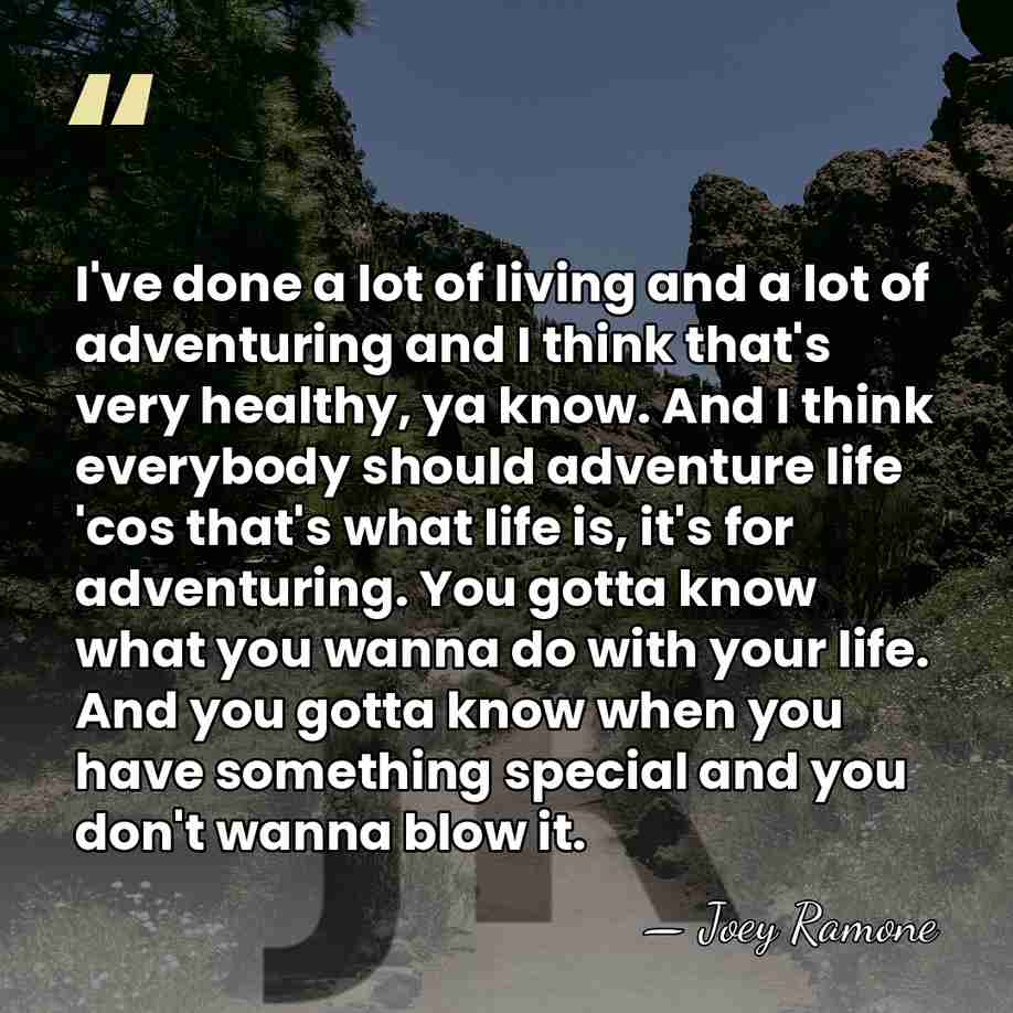 I've done a lot of living and a lot of adventuring and&hellip; - Joey Ramone