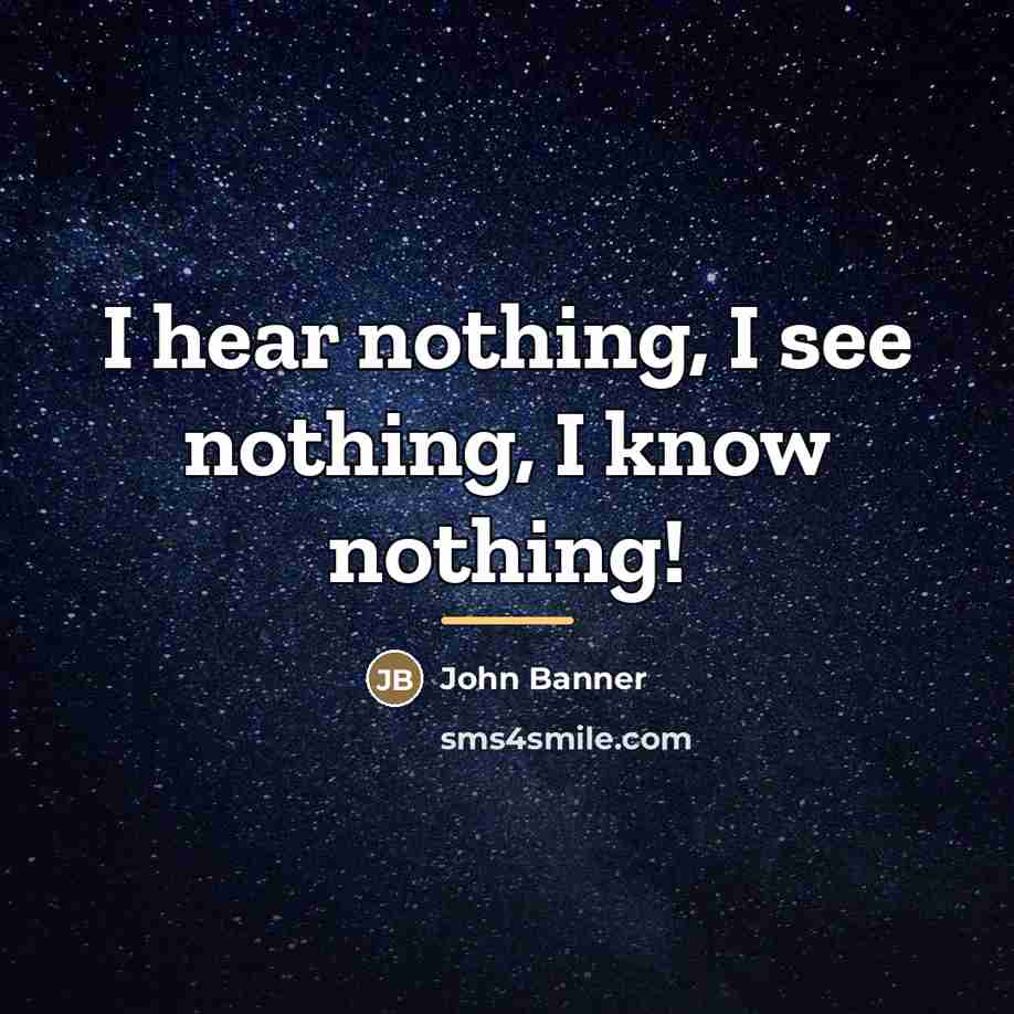 “I hear nothing, I see nothing, I know nothing!…” quote by John Banner