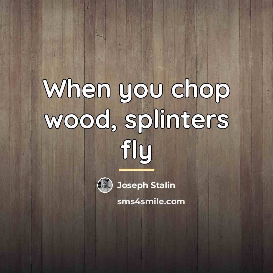 “When you chop wood, splinters fly…” quote by Joseph Stalin