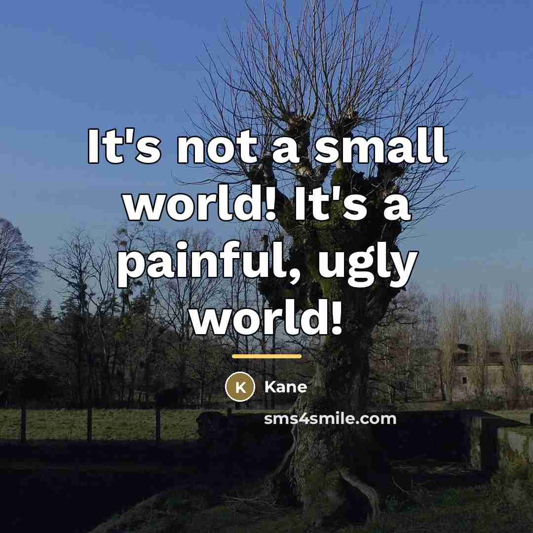 “It's not a small world! It's a painful, ugly world!…” quote by Kane