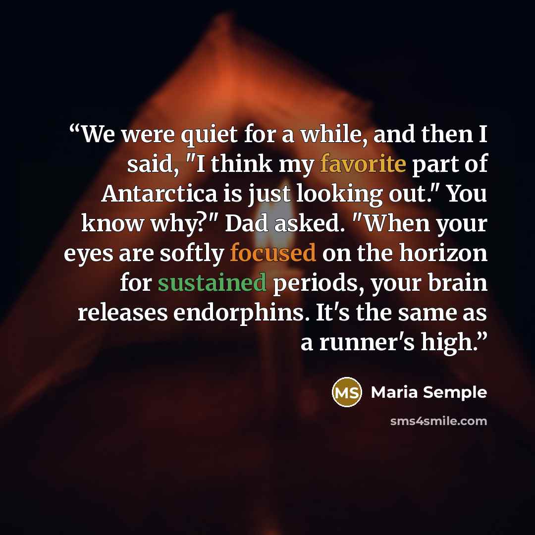 “We were quiet for a while, and then I said, "I think my favorite part of Antarctica is just looking out." You know why?" Dad asked. "When your eyes are softly focused on the horizon for sustained periods, your brain releases endorphins. It's the same as a runner's high.” quote by Maria Semple