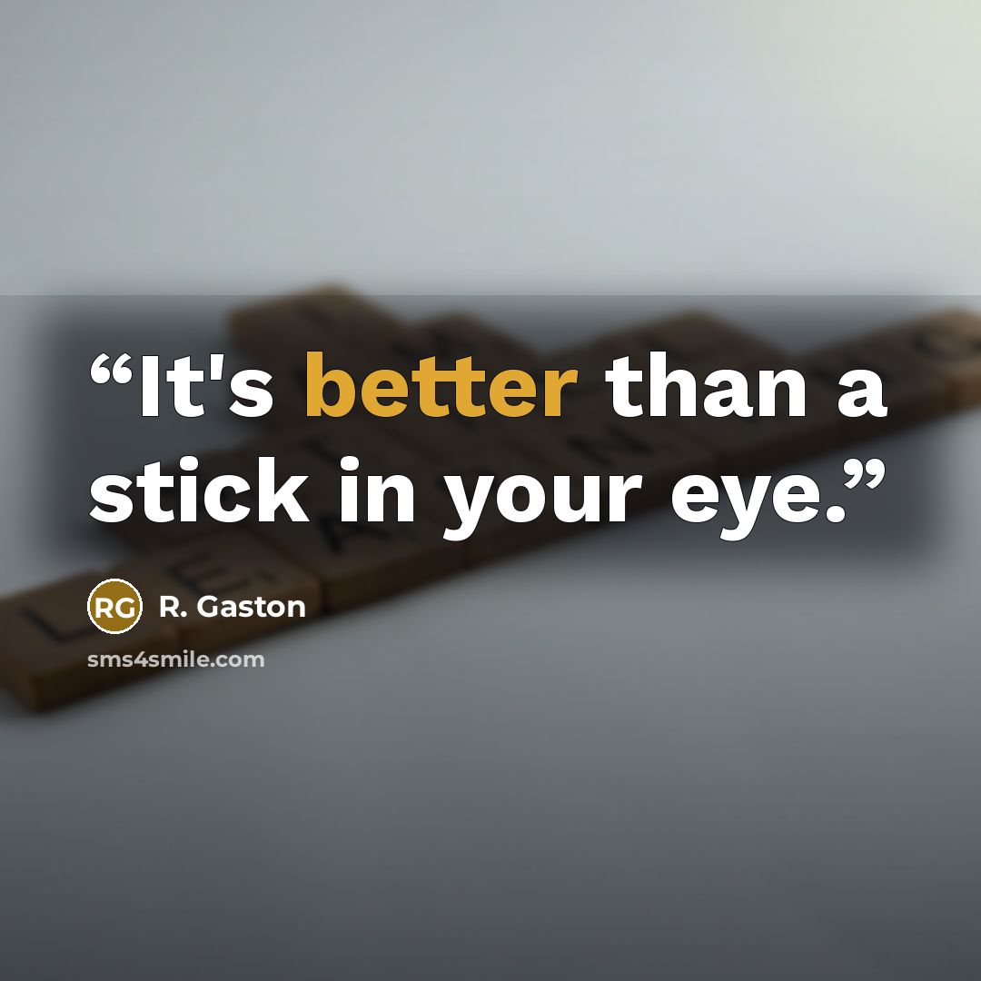 “It's better than a stick in your eye.” quote by R. Gaston