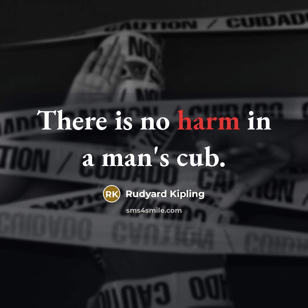 “There is no harm in a man's cub.…” quote by Rudyard Kipling