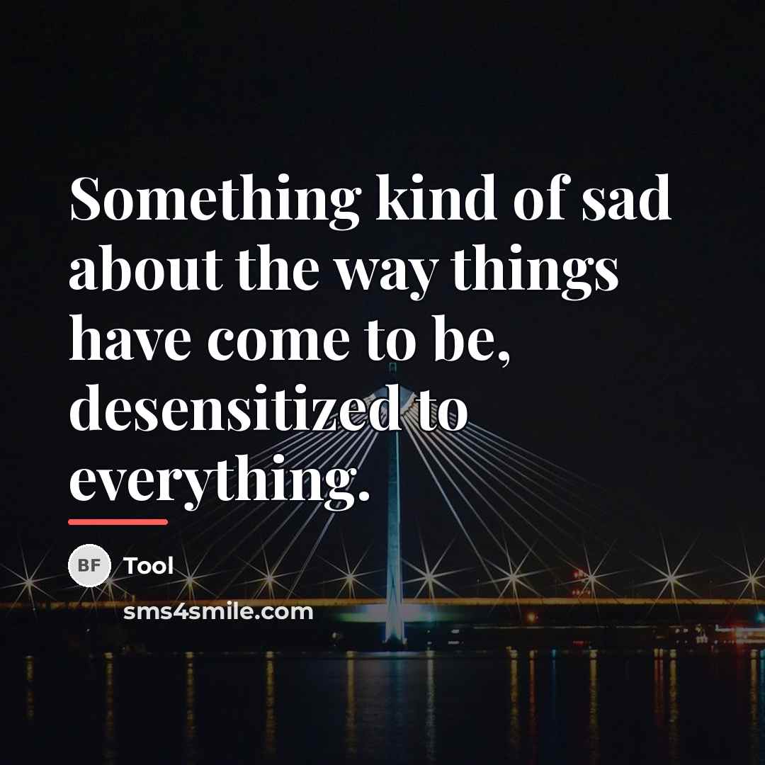 “Something kind of sad about the way things have come…” quote by Tool