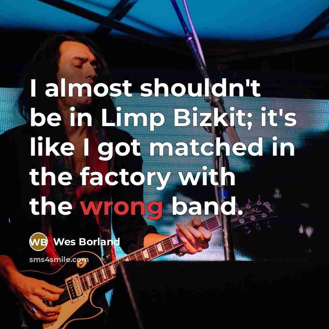 “I almost shouldn't be in Limp Bizkit; it's like I…” quote by Wes Borland