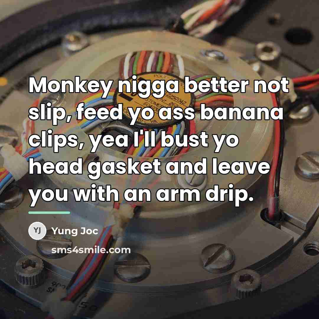 “Monkey nigga better not slip, feed yo ass banana clips,…” quote by Yung Joc