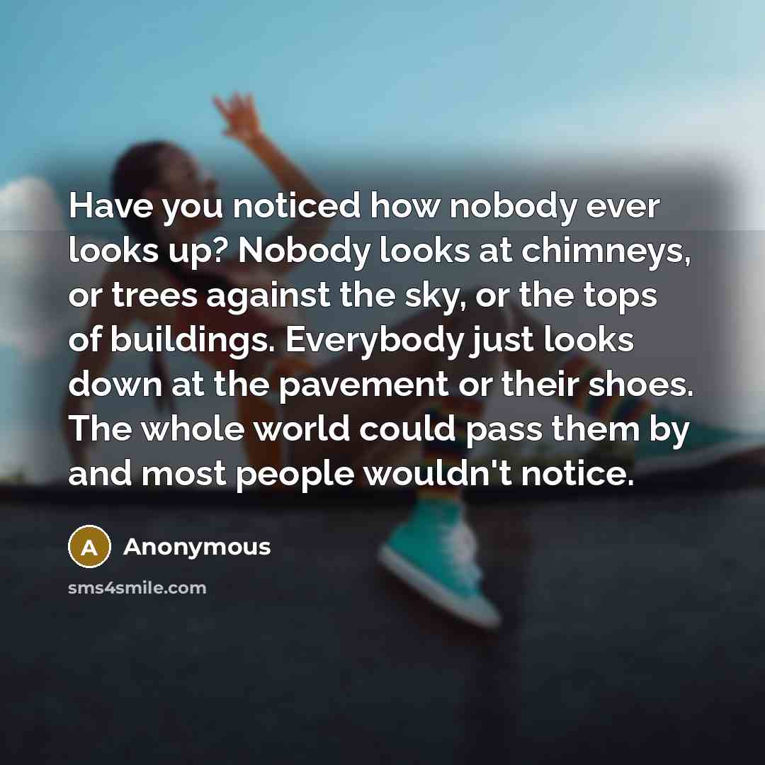 “Have you noticed how nobody ever looks up? Nobody looks…” quote by Anonymous