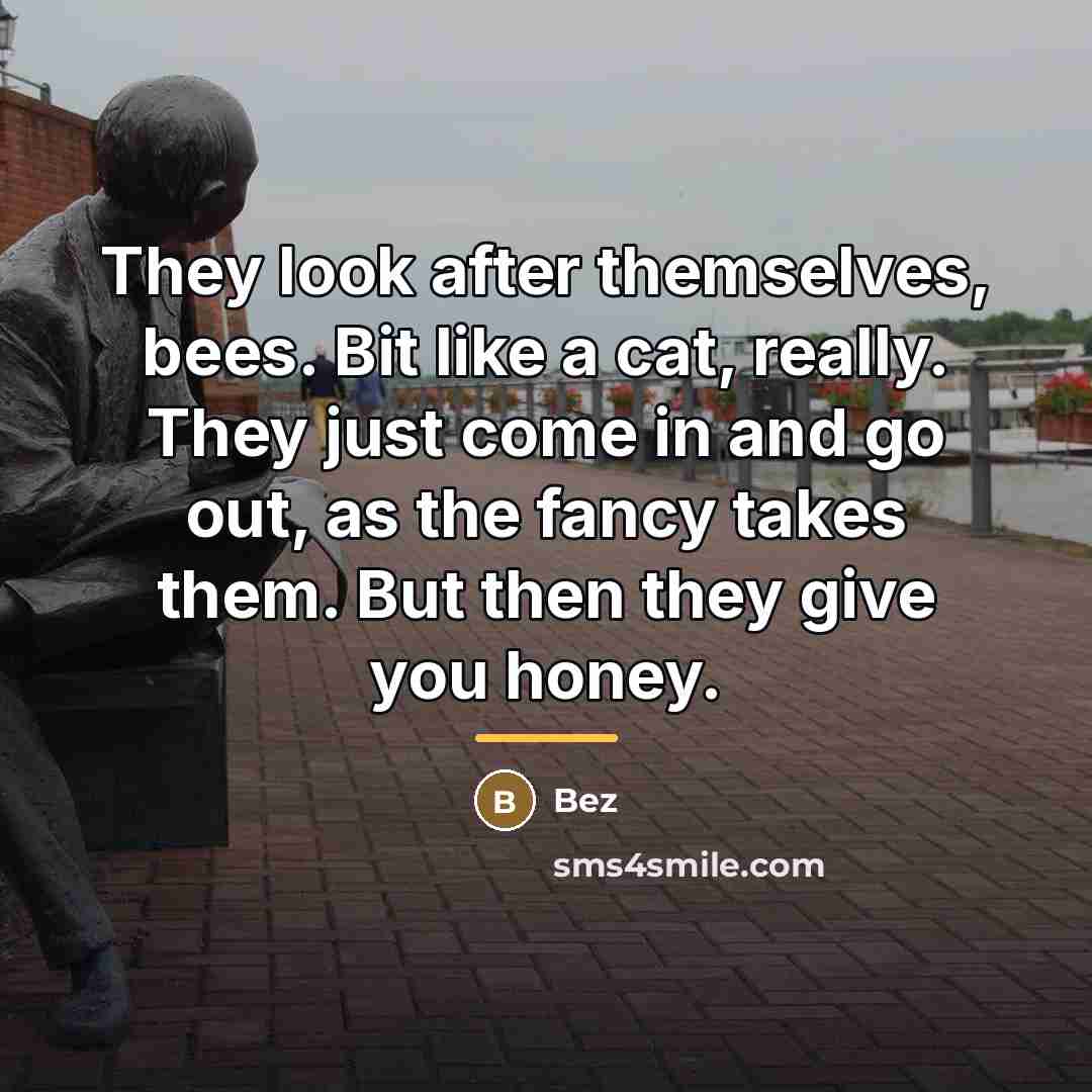 “They look after themselves, bees. Bit like a cat, really.…” quote by Bez