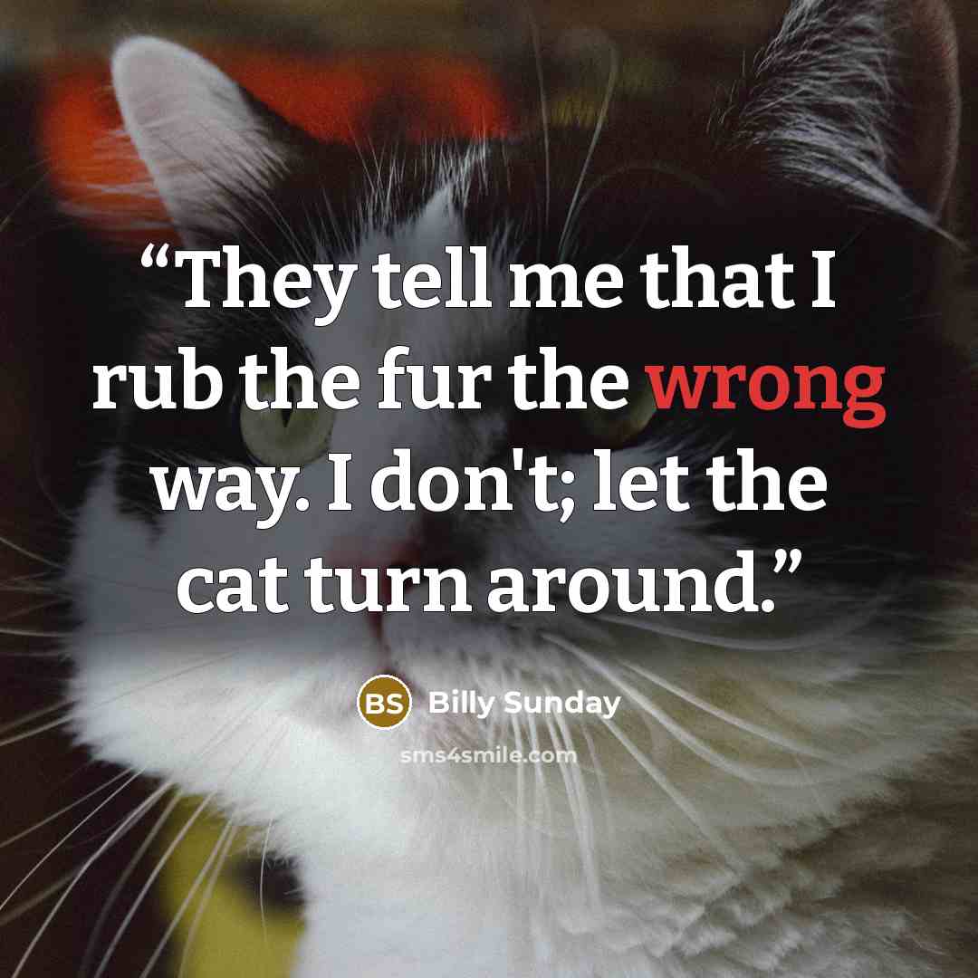 “They tell me that I rub the fur the wrong way. I don't; let the cat turn around.” quote by Billy Sunday