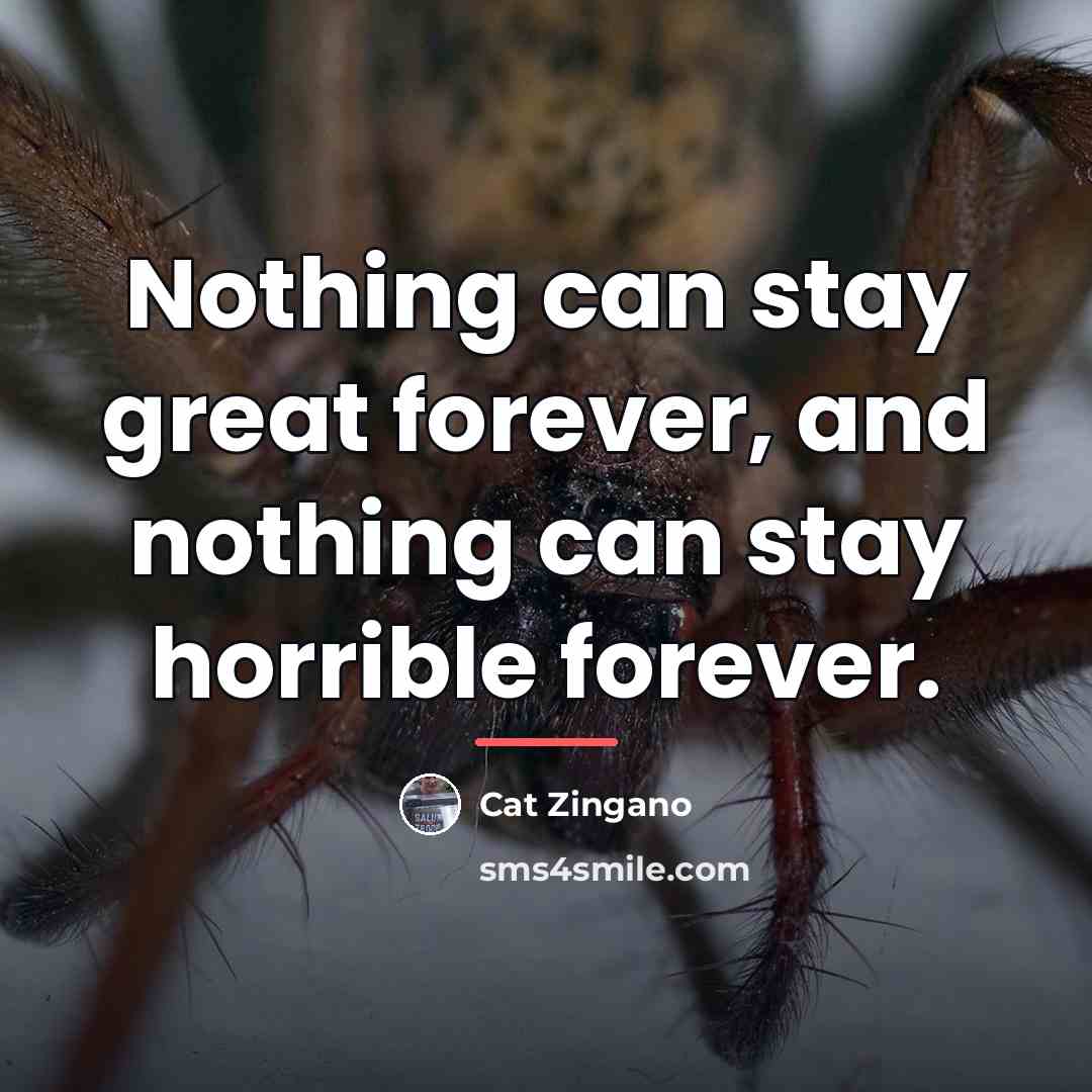 “Nothing can stay great forever, and nothing can stay horrible…” quote by Cat Zingano