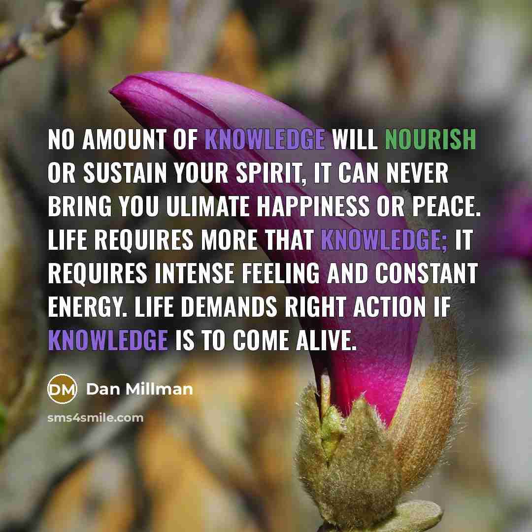 “No amount of knowledge will nourish or sustain your spirit,…” quote by Dan Millman