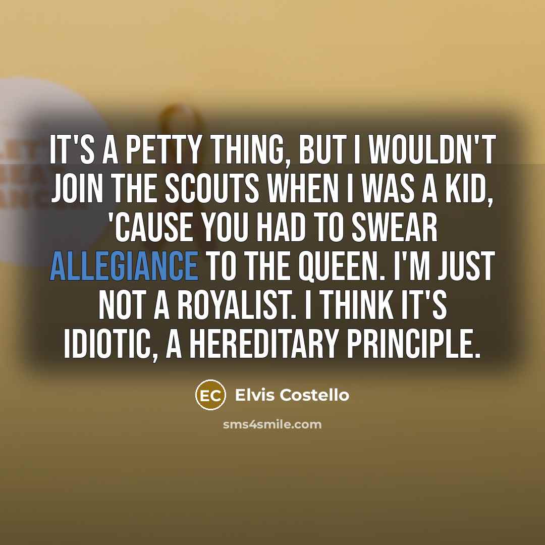 “It's a petty thing, but I wouldn't join the Scouts…” quote by Elvis Costello