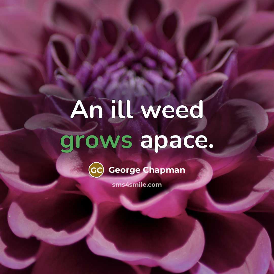 “An ill weed grows apace.” quote by George Chapman