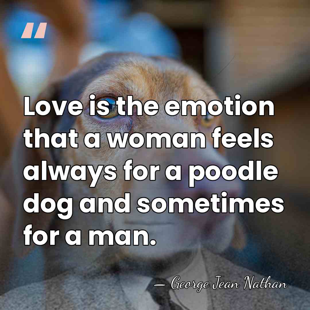 Love is the emotion that a woman feels always for a poodle&hellip; - George Jean Nathan