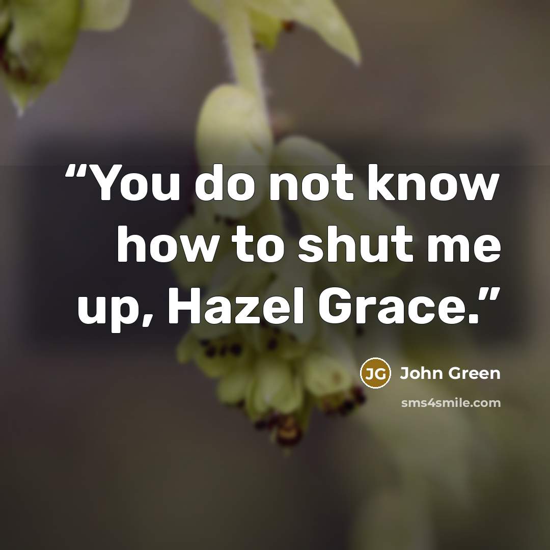 “You do not know how to shut me up, Hazel Grace.” quote by John Green