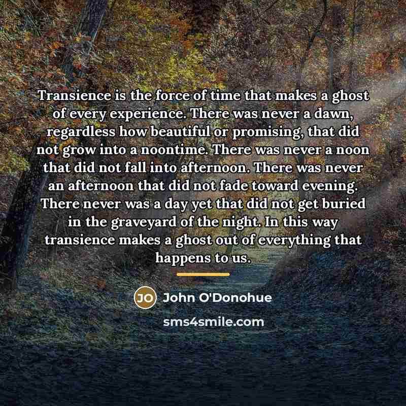 “Transience is the force of time that makes a ghost…” quote by John O'Donohue