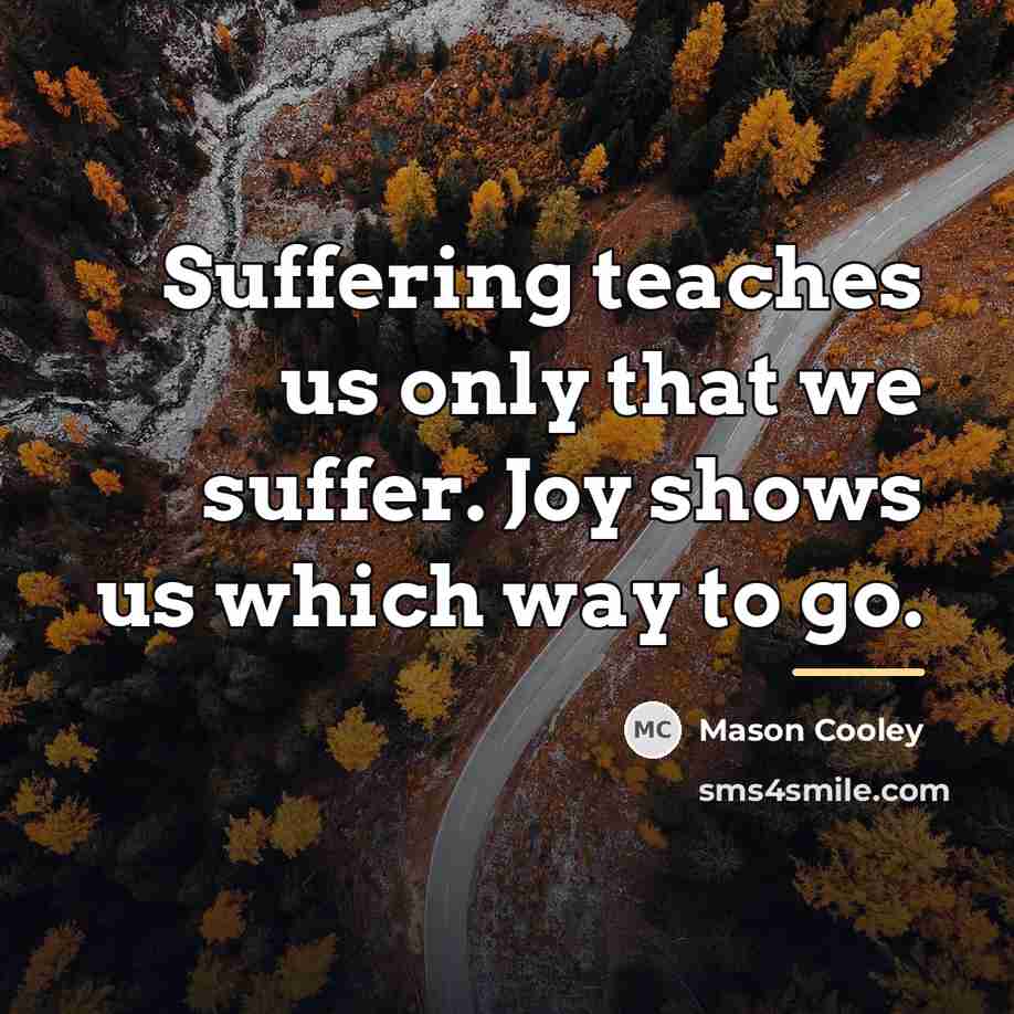 “Suffering teaches us only that we suffer. Joy shows us…” quote by Mason Cooley