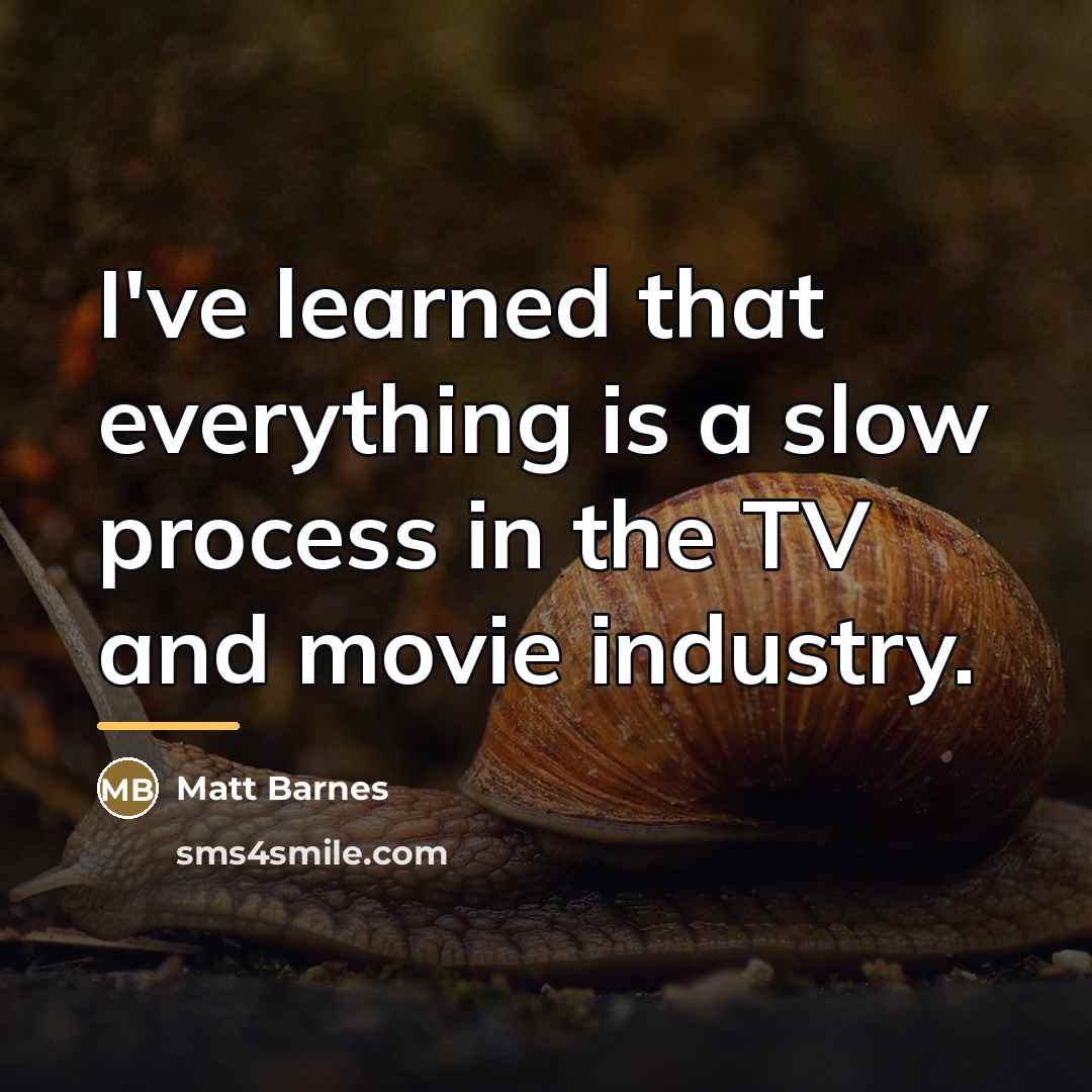 “I've learned that everything is a slow process in the…” quote by Matt Barnes