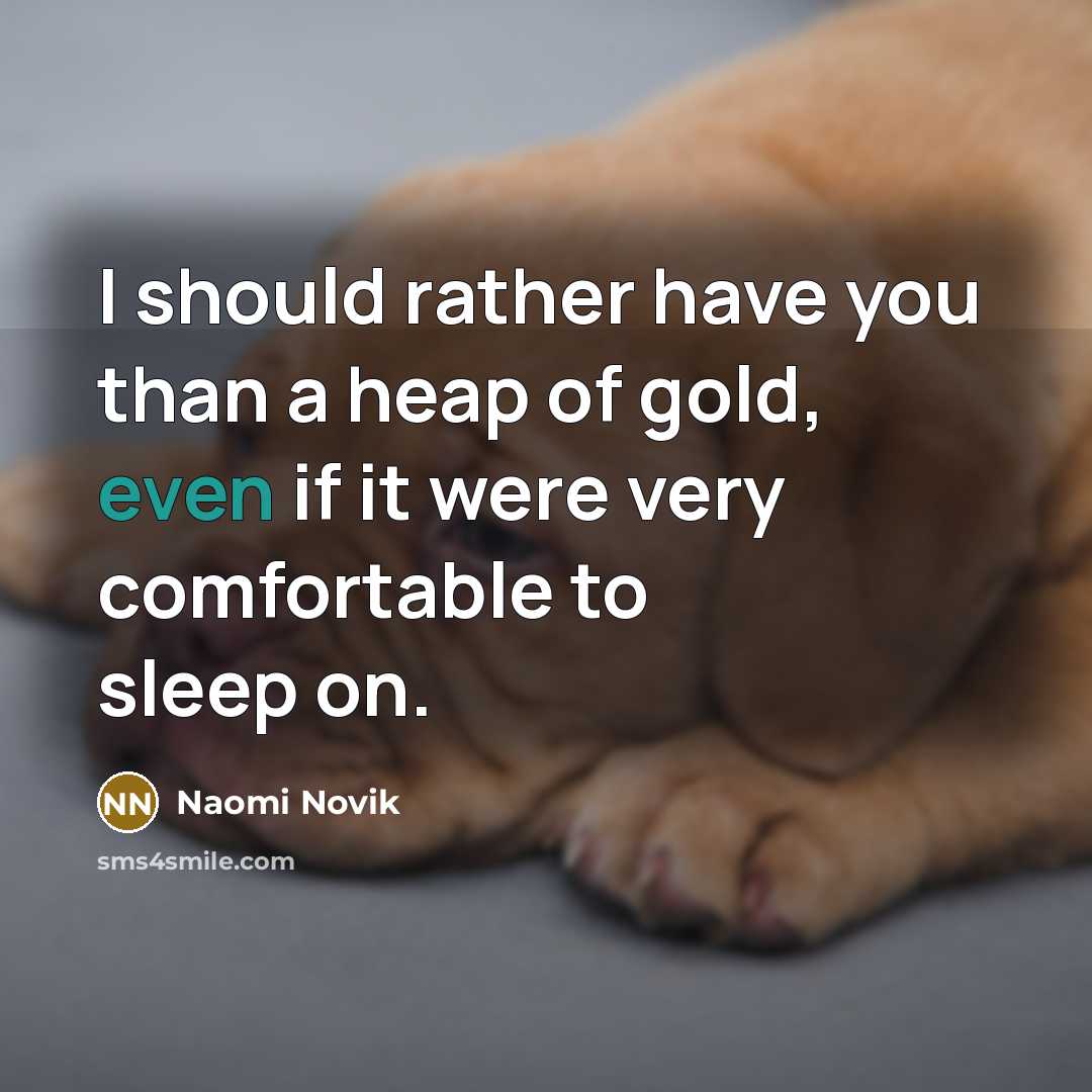 “I should rather have you than a heap of gold, even if it were very comfortable to sleep on.” quote by Naomi Novik