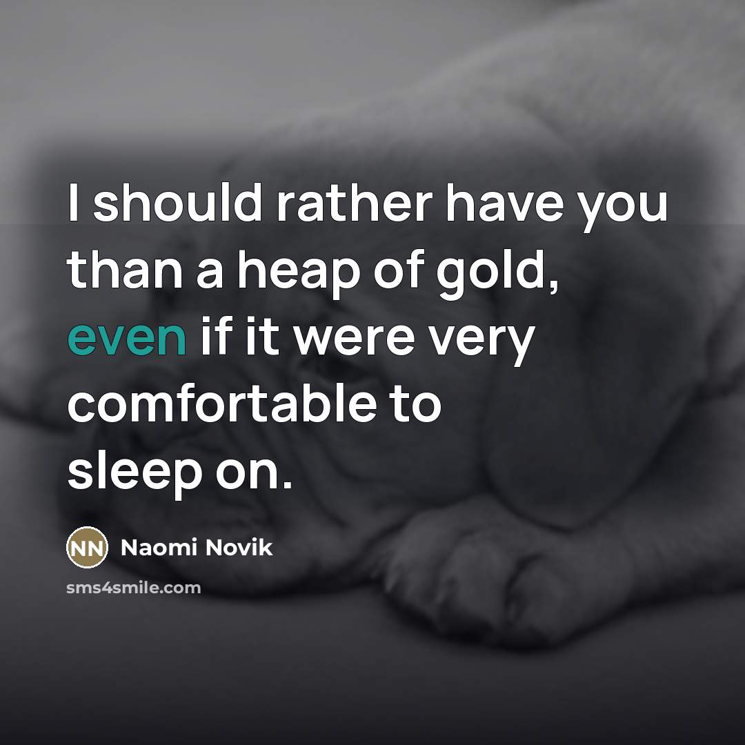 “I should rather have you than a heap of gold,…” quote by Naomi Novik