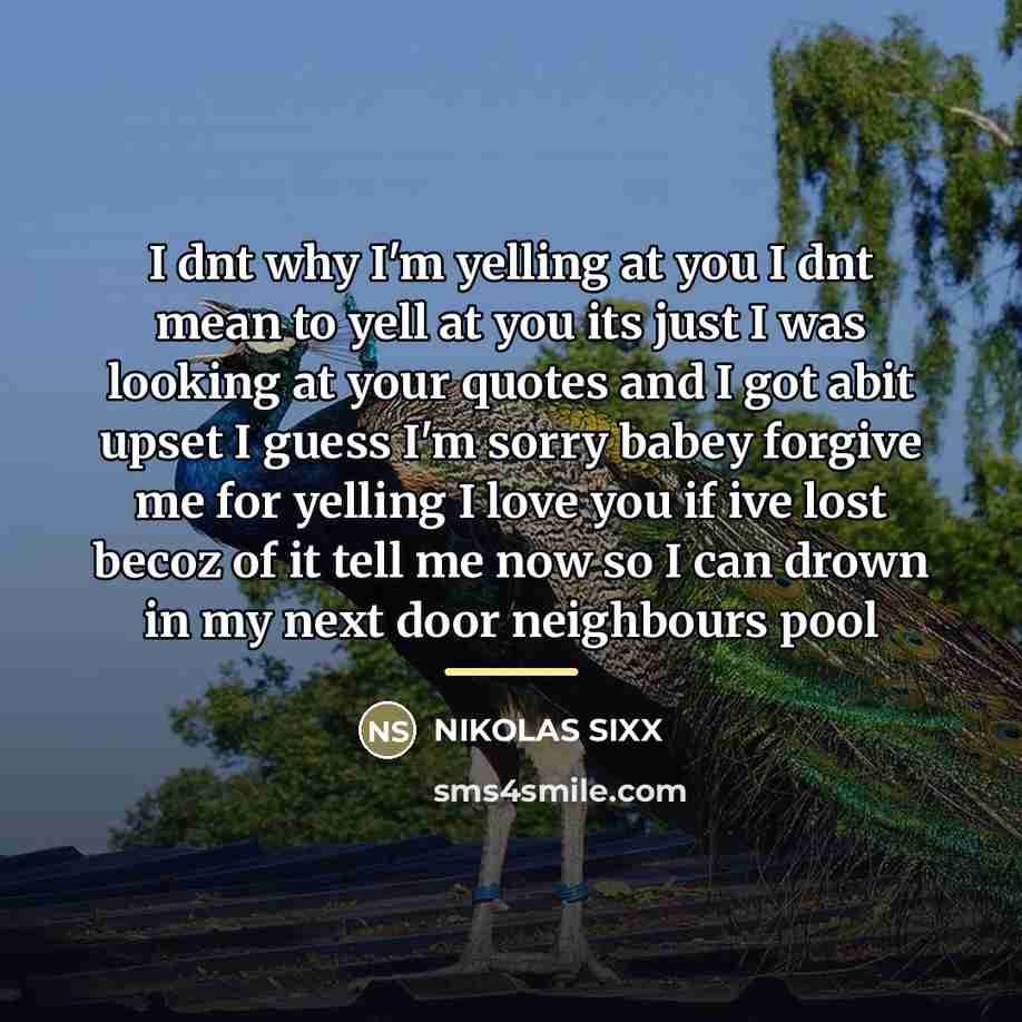 “I dnt why I'm yelling at you I dnt mean…” quote by NIKOLAS SIXX