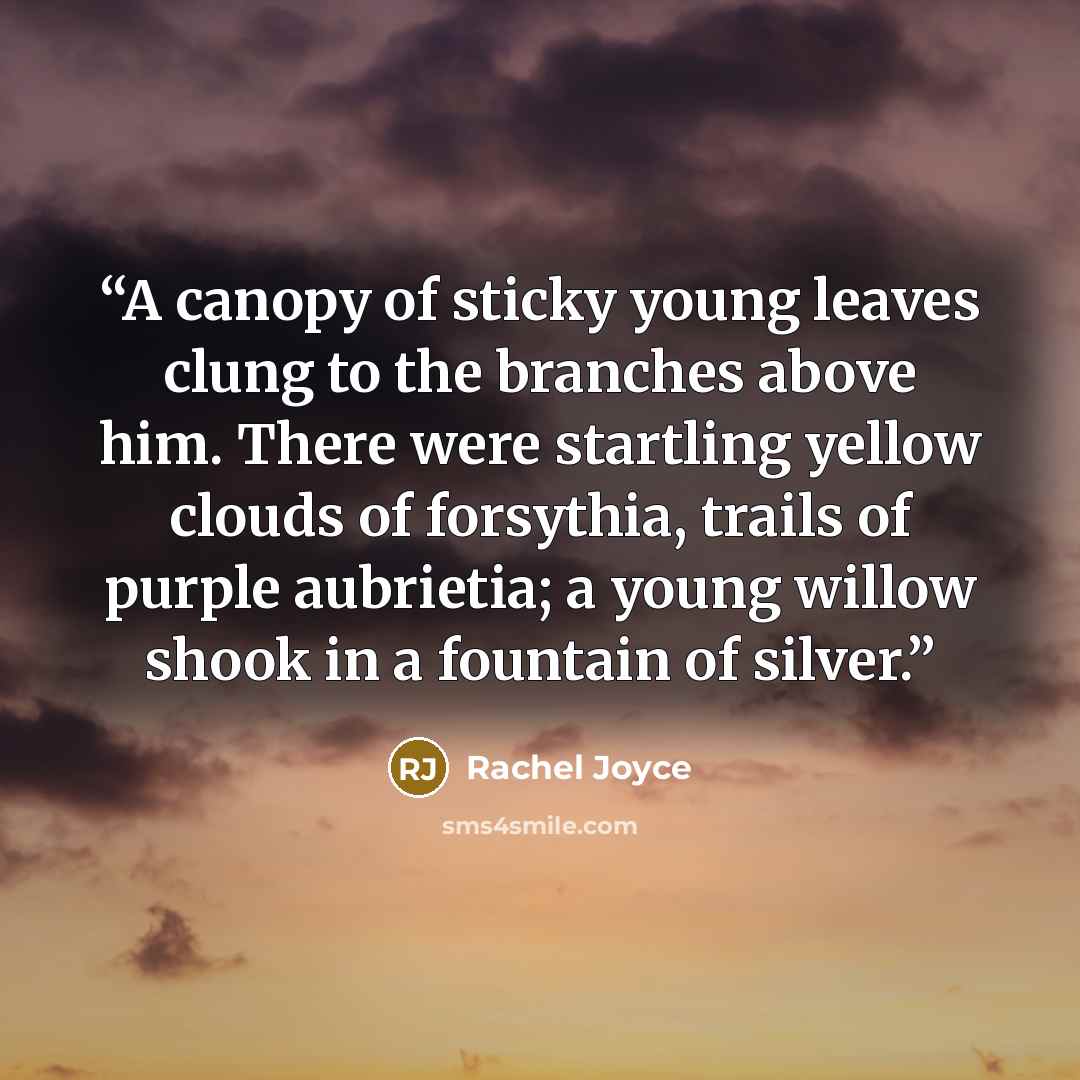 “A canopy of sticky young leaves clung to the branches above him. There were startling yellow clouds of forsythia, trails of purple aubrietia; a young willow shook in a fountain of silver.” quote by Rachel Joyce