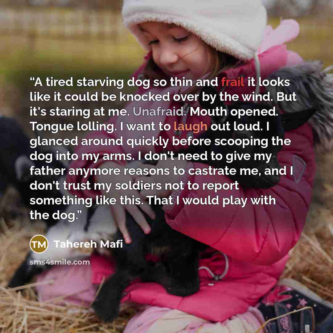“A tired starving dog so thin and frail it looks like it could be knocked over by the wind. But it's staring at me. Unafraid. Mouth opened. Tongue lolling. I want to laugh out loud. I glanced around quickly before scooping the dog into my arms. I don't need to give my father anymore reasons to…” quote by Tahereh Mafi
