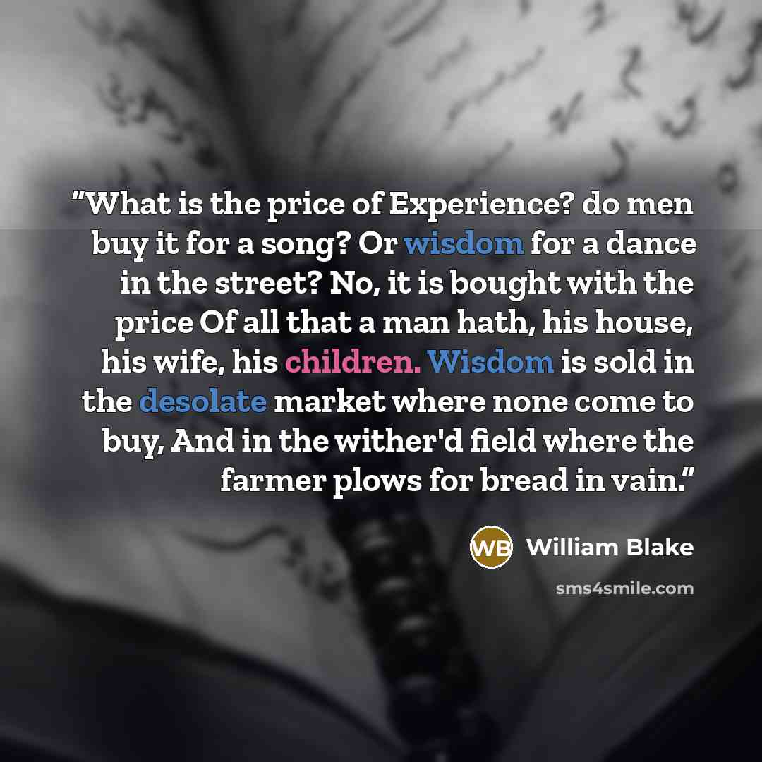 “What is the price of Experience? do men buy it for a song? Or wisdom for a dance in the street? No, it is bought with the price Of all that a man hath, his house, his wife, his children. Wisdom is sold in the desolate market where none come to buy, And in the wither'd field where the farmer plows…” quote by William Blake