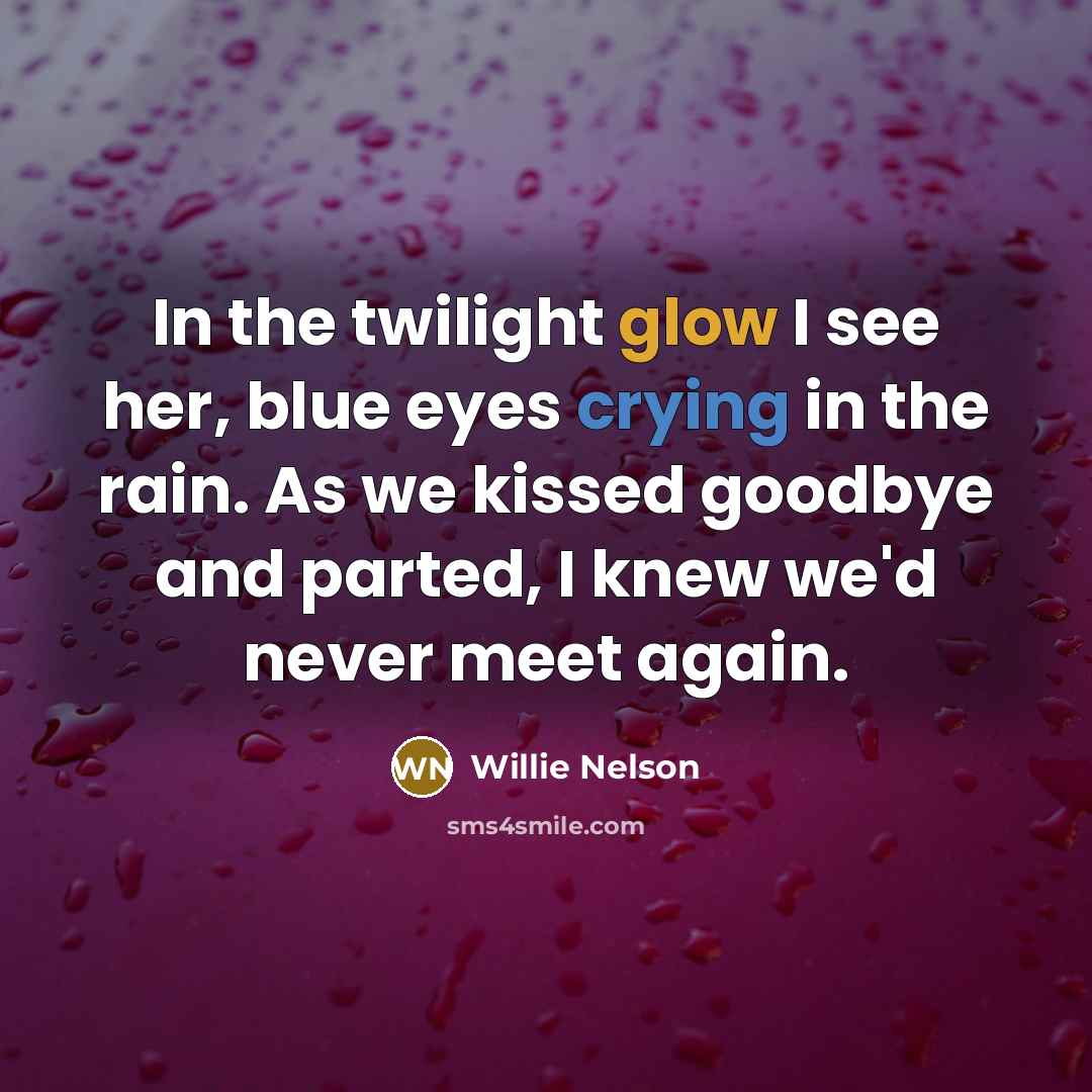 “In the twilight glow I see her, blue eyes crying…” quote by Willie Nelson