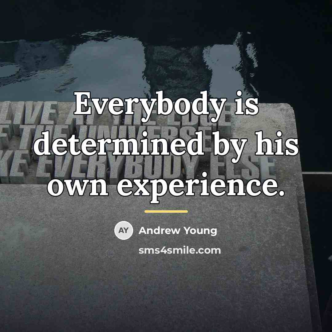 “Everybody is determined by his own experience.…” quote by Andrew Young