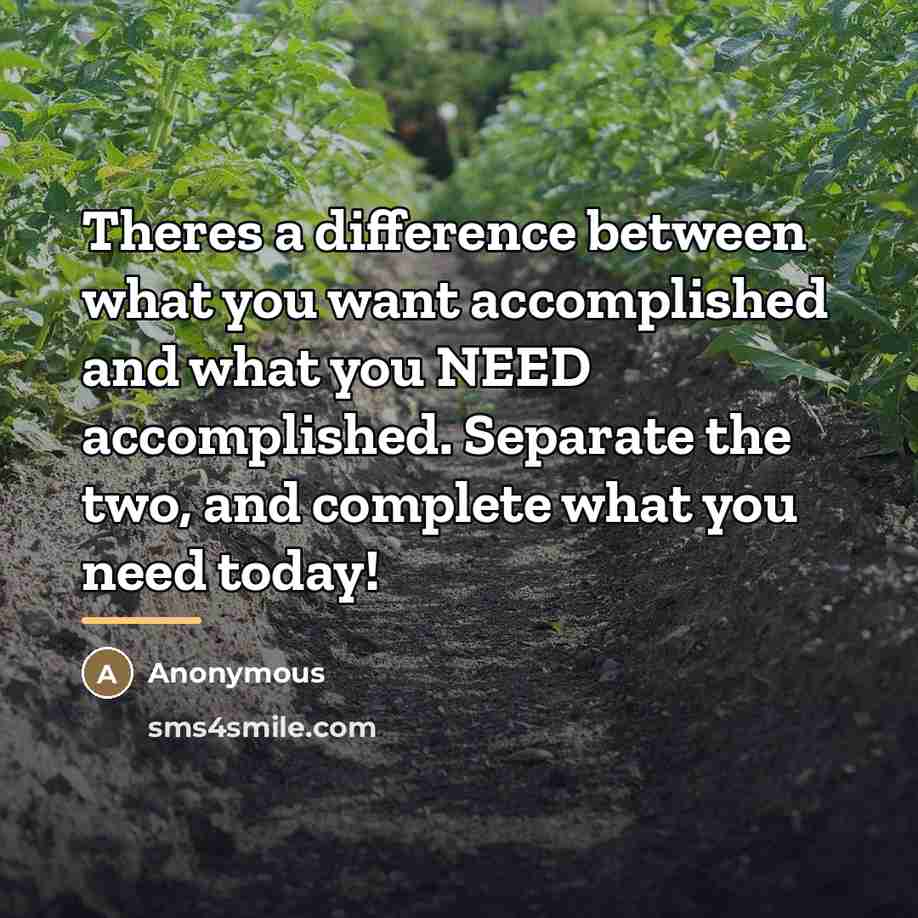 “Theres a difference between what you want accomplished and what…” quote by Anonymous
