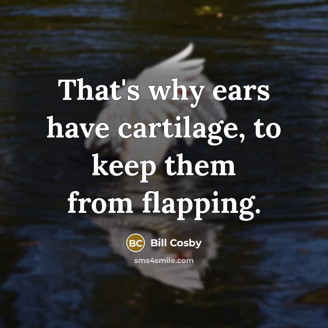 “That's why ears have cartilage, to keep them from flapping.…” quote by Bill Cosby