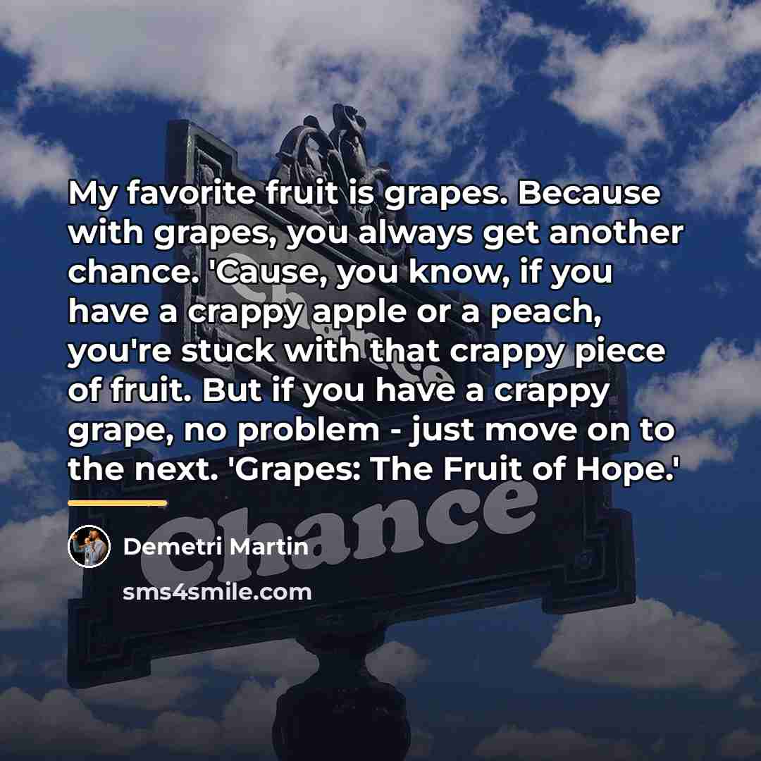 “My favorite fruit is grapes. Because with grapes, you always…” quote by Demetri Martin