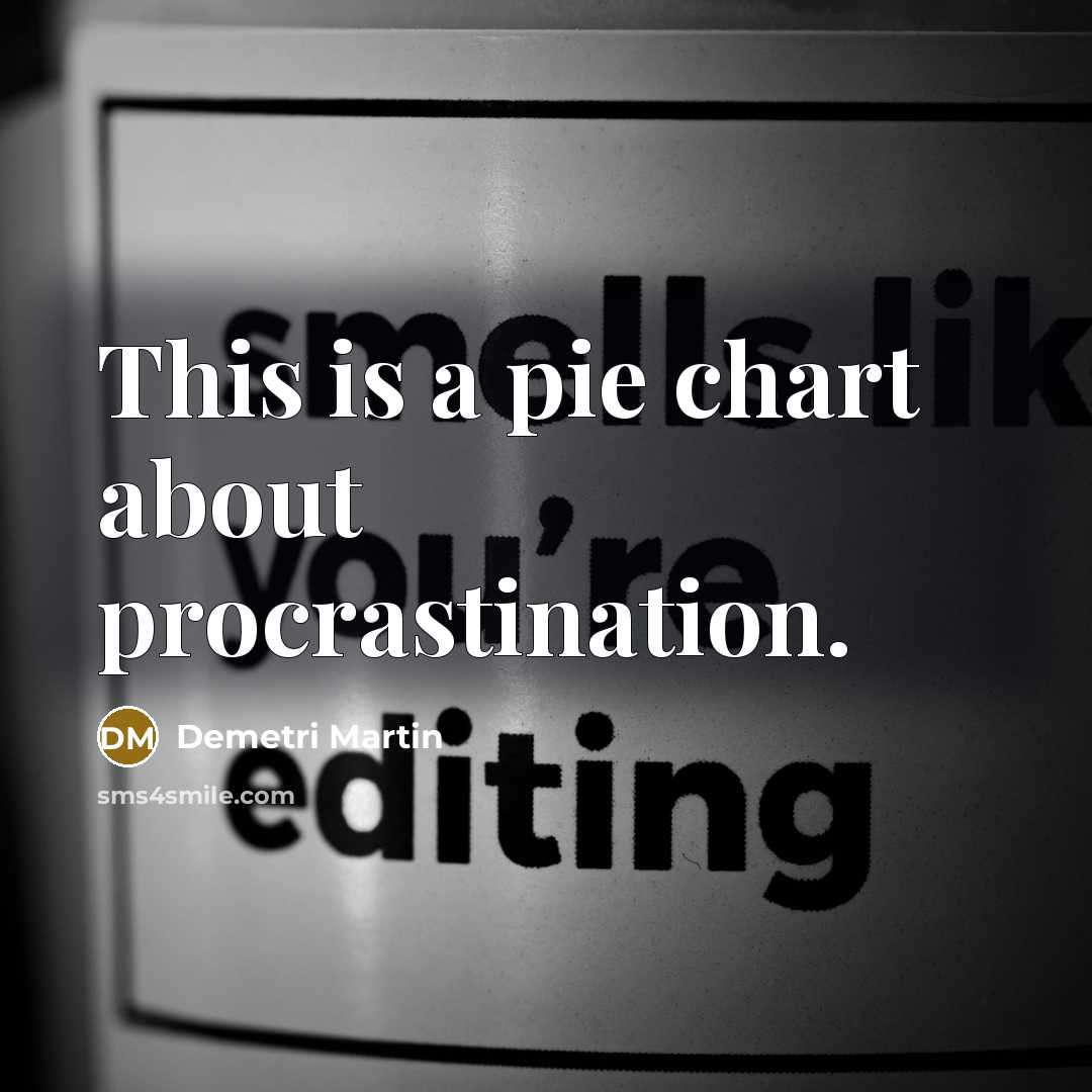 “This is a pie chart about procrastination.” quote by Demetri Martin