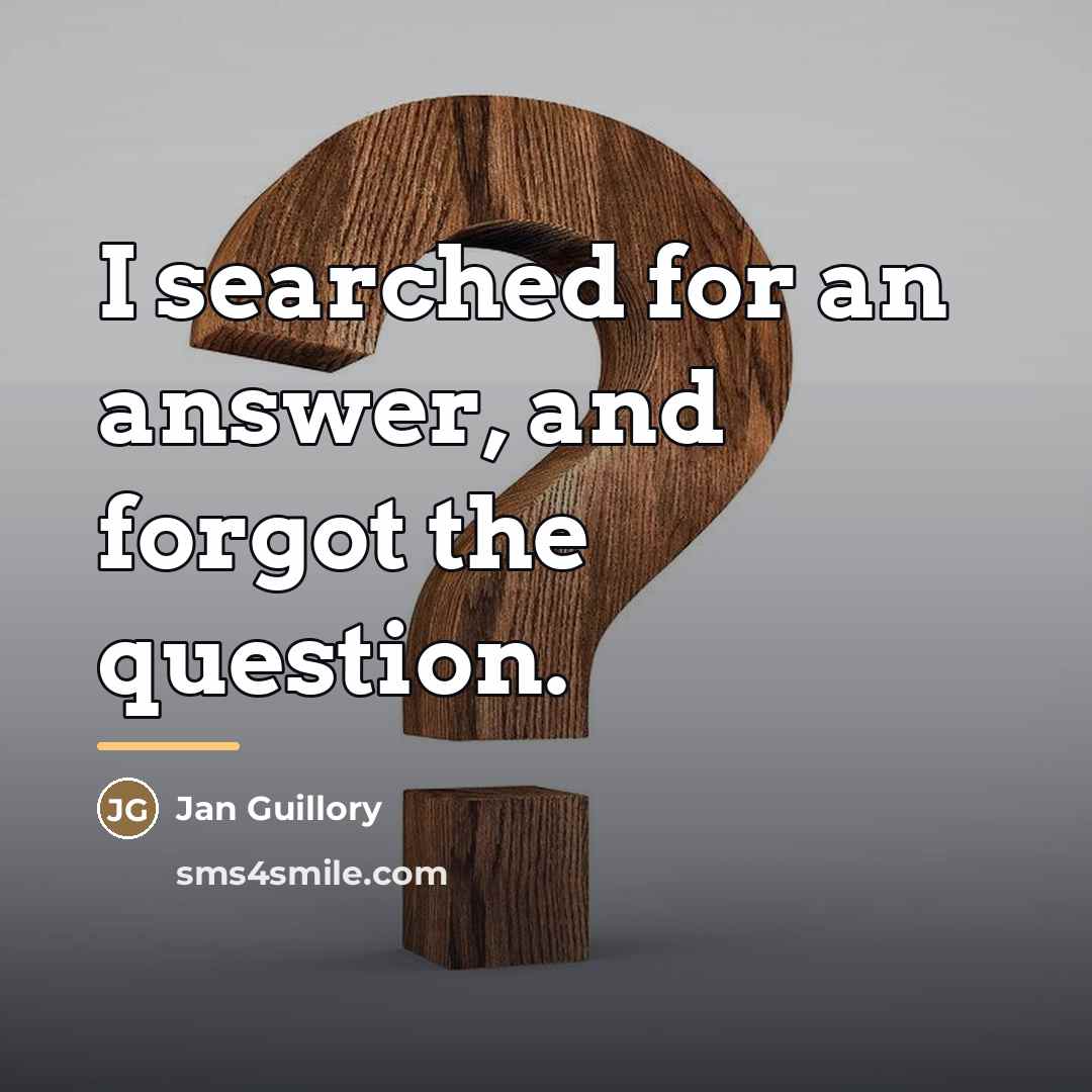 “I searched for an answer, and forgot the question.…” quote by Jan Guillory