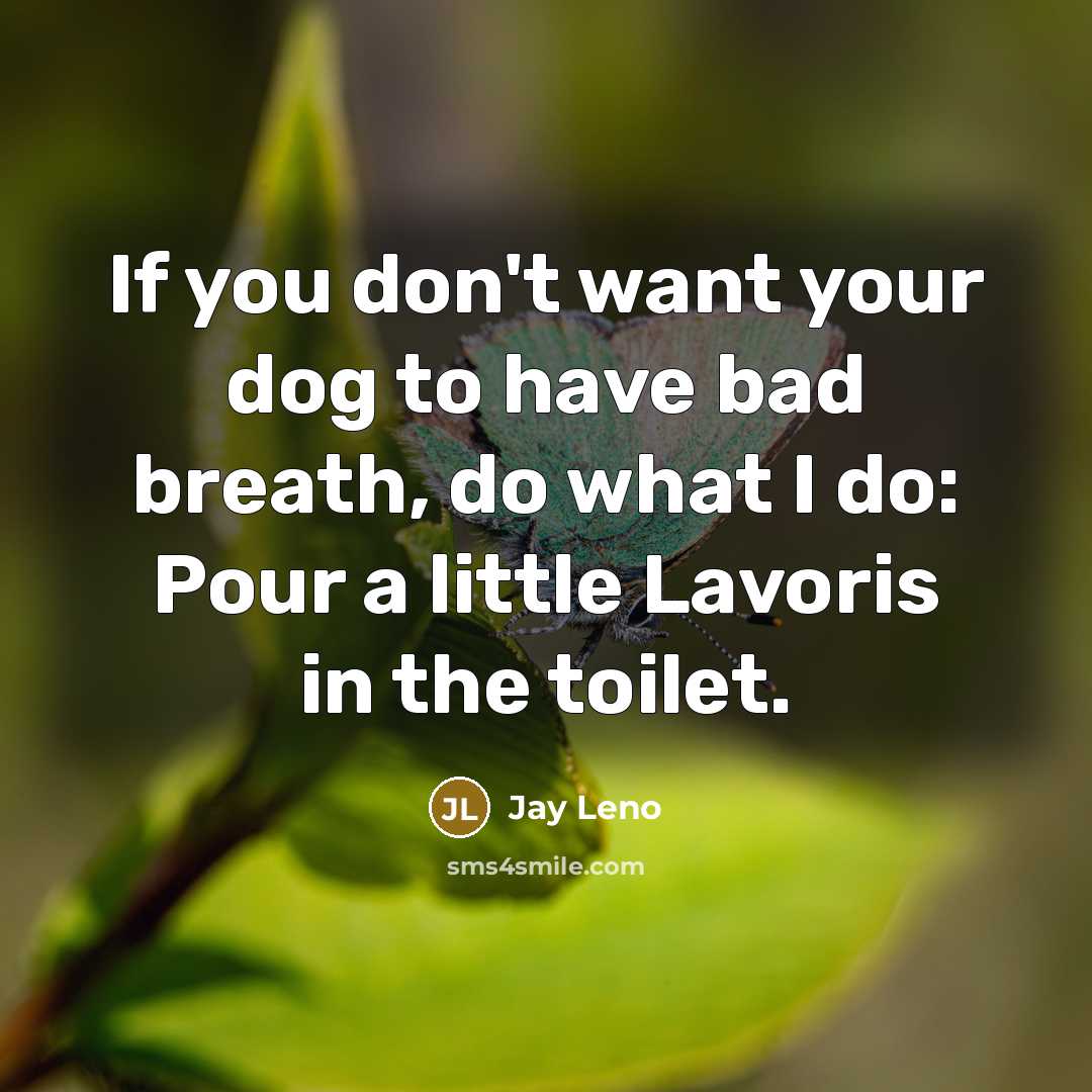 “If you don't want your dog to have bad breath,…” quote by Jay Leno