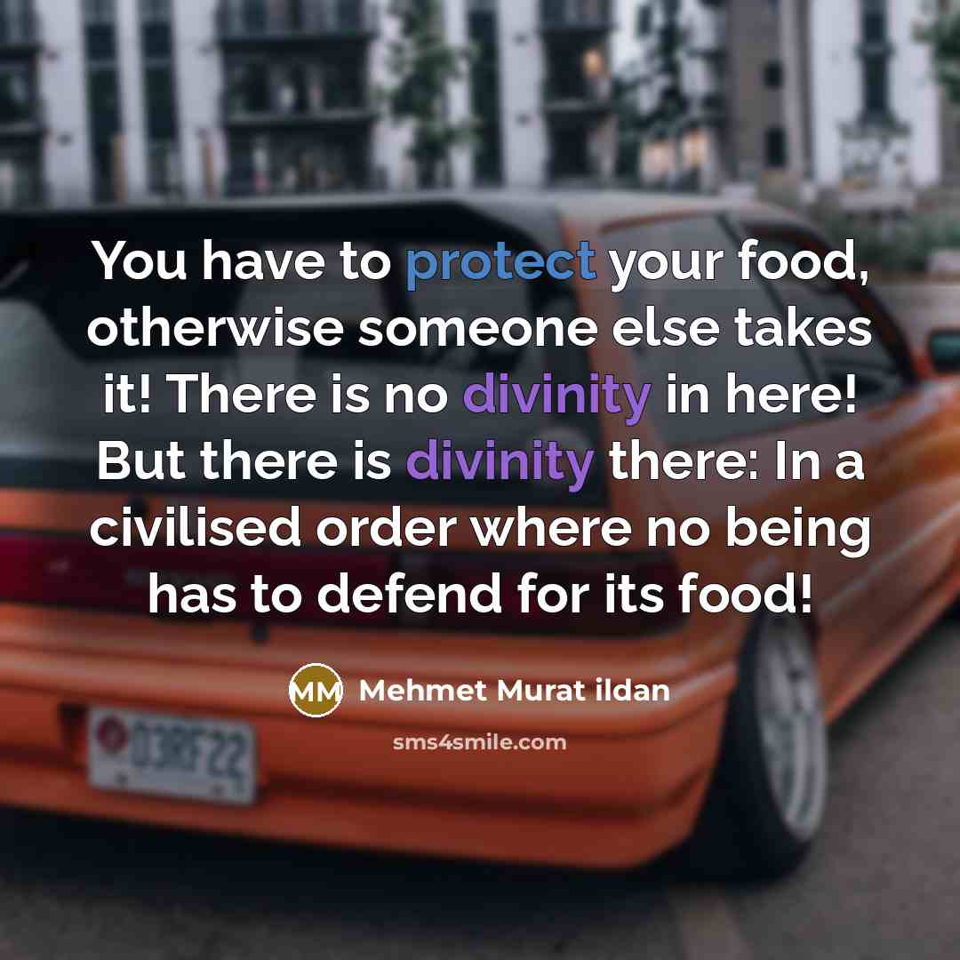 “You have to protect your food, otherwise someone else takes…” quote by Mehmet Murat Ildan