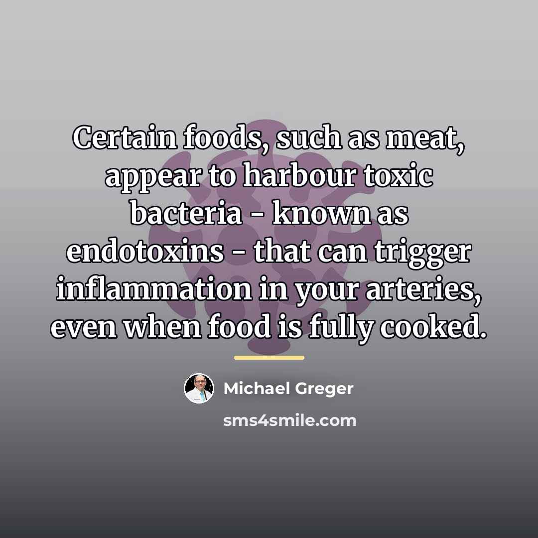 “Certain foods, such as meat, appear to harbour toxic bacteria…” quote by Michael Greger