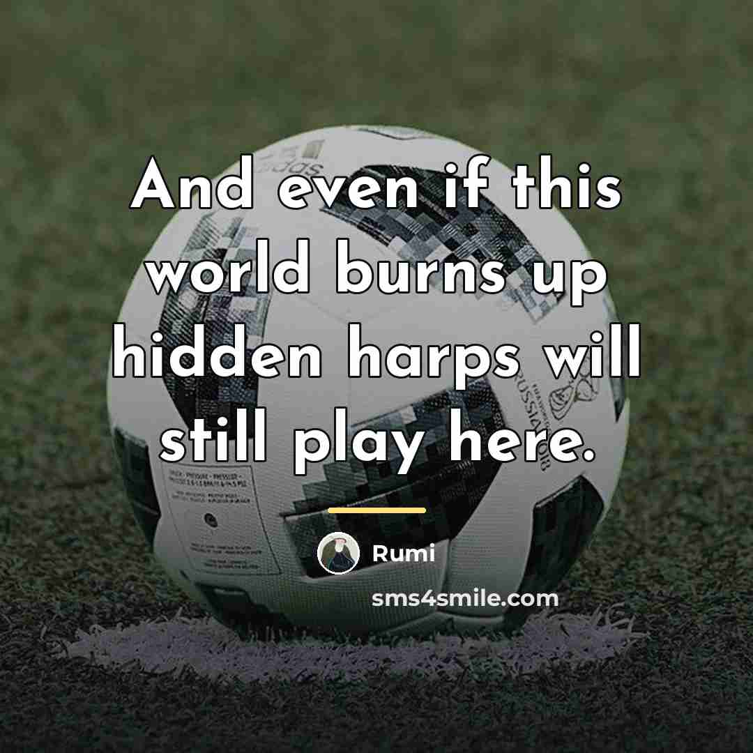 “And even if this world burns up hidden harps will…” quote by Rumi