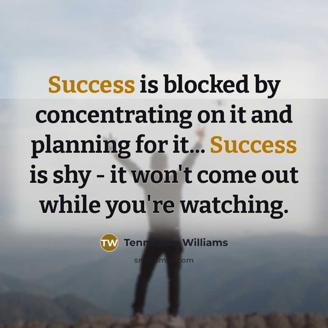 “Success is blocked by concentrating on it and planning for…” quote by Tennessee Williams
