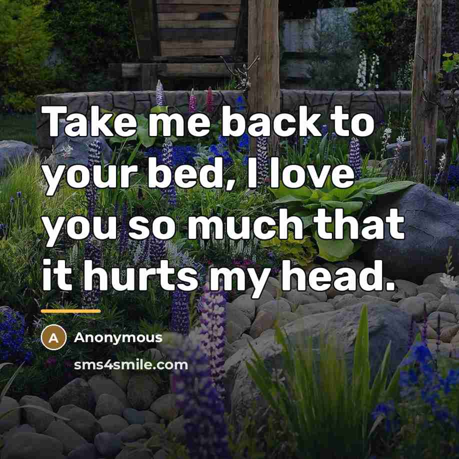 “Take me back to your bed, I love you so…” quote by Anonymous