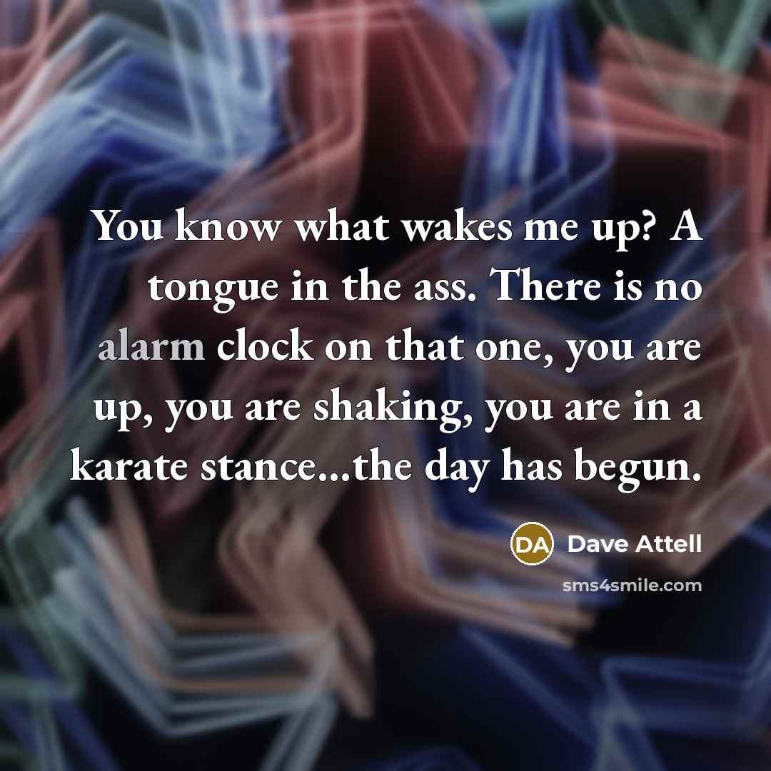 “You know what wakes me up? A tongue in the…” quote by Dave Attell