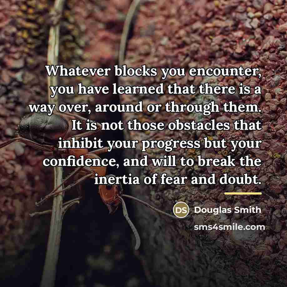 “Whatever blocks you encounter, you have learned that there is…” quote by Douglas Smith